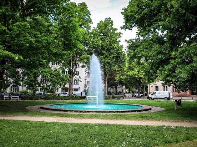 Am Friedrichsplatz in der Innenstadt: in der Mitte die Fontäne und die Grünanlage. Umrahmt von hohen sattgrünen Bäumen.