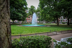 Stadtgrün_Grünanlage_Friedrichsplatz_Park Der Friedrichsplatz: große Bäume, grüner Rasen, weiße Sitzbänke. In der Mitte ein Brunnen mit Fontäne.