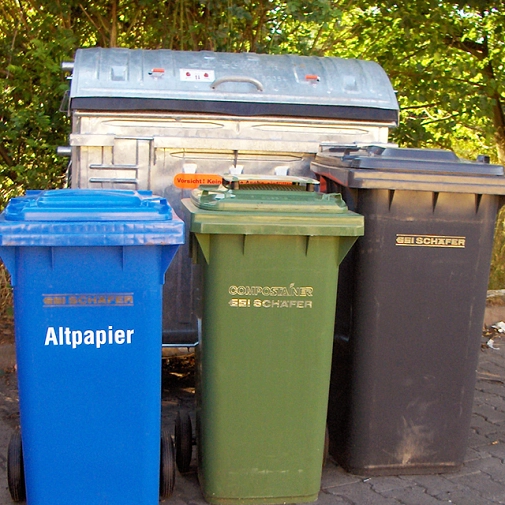 Das Foto zeigt eine Altpapier-, Bio- und Restabfalltonne vor einem 1,1 cbm Rollcontainer.&nbsp;&copy;&nbsp;DBM, Sonja Stender