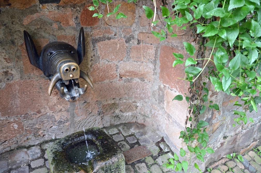 Trinkwasserbrunnen Am Schloss Auf dem Weg zum Landgrafenschloss finden Passantinnen und Passanten den Trinkbrunnen in Form eines Saukopfs im Torbogen. © Stadt Marburg, Susanne Bauer