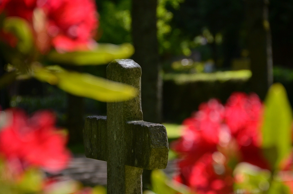 Über die Themen Sterben, Tod und Trauer gehrt es am 12. Mai 2023 im Marburger Landratsamt.&nbsp;&copy;&nbsp;Stephan Schienbein, Landkreis Marburg-Biedenkopf