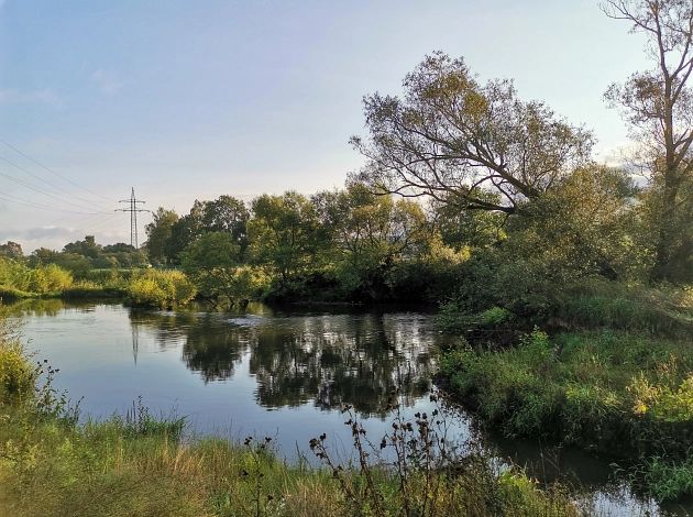 Panoramaaufnahme der Gisselberger Spannweite: Die Lahn, das Ufer, Bäume und Büsche, ruhige Abendstimmung.