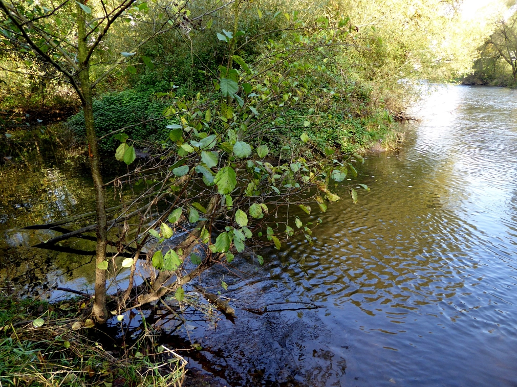 Blick auf die Lahn. Im Vordergrund zweigt ein Verbindungsarm zum neuen Nebengerinne ab.&nbsp;&copy;&nbsp;K. Bork