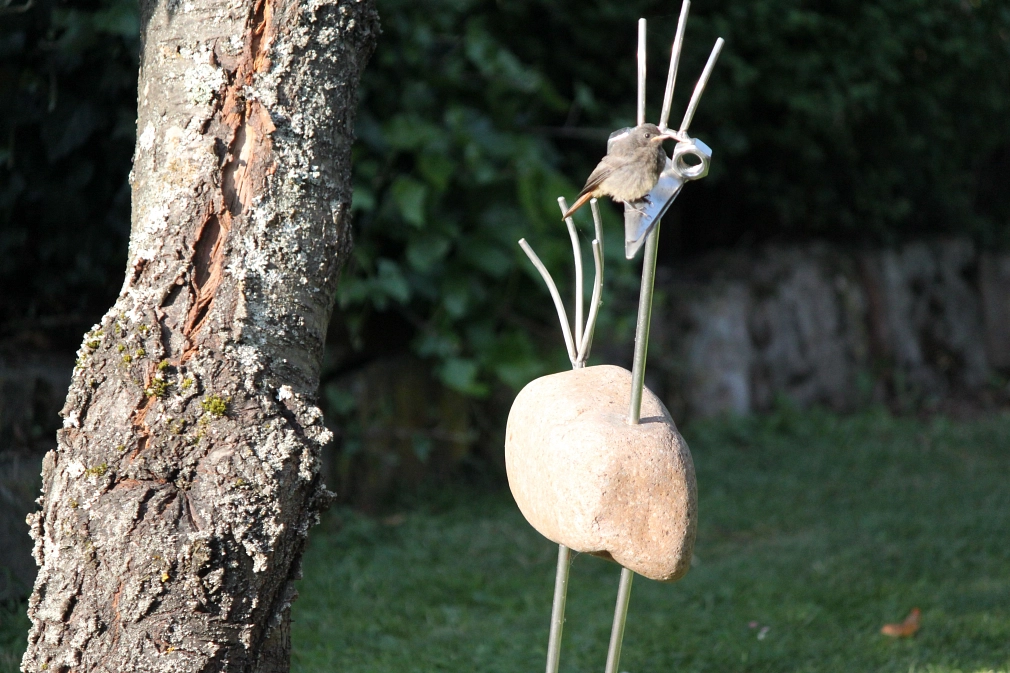 Tiere im Garten