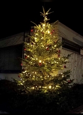 Feierlich geschmückter Weihnachtsbaum in Cappel © Universitätsstadt Marburg
