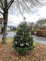 Geschmückter Weihnachtsbaum in Cyriaxweimar © Universitätsstadt Marburg FD Stadtgrün und Friedhöfe
