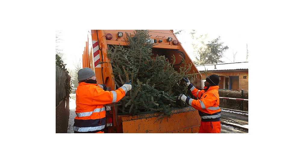 Das Foto zeigt Mitarbeiter des DBM beim Laden von Weihnachtsbäumen.&nbsp;&copy;&nbsp;DBM, Sonja Stender
