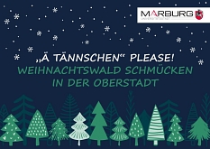 Weihnachtswald schmücken in der Oberstadt © Satzzentrale GbR