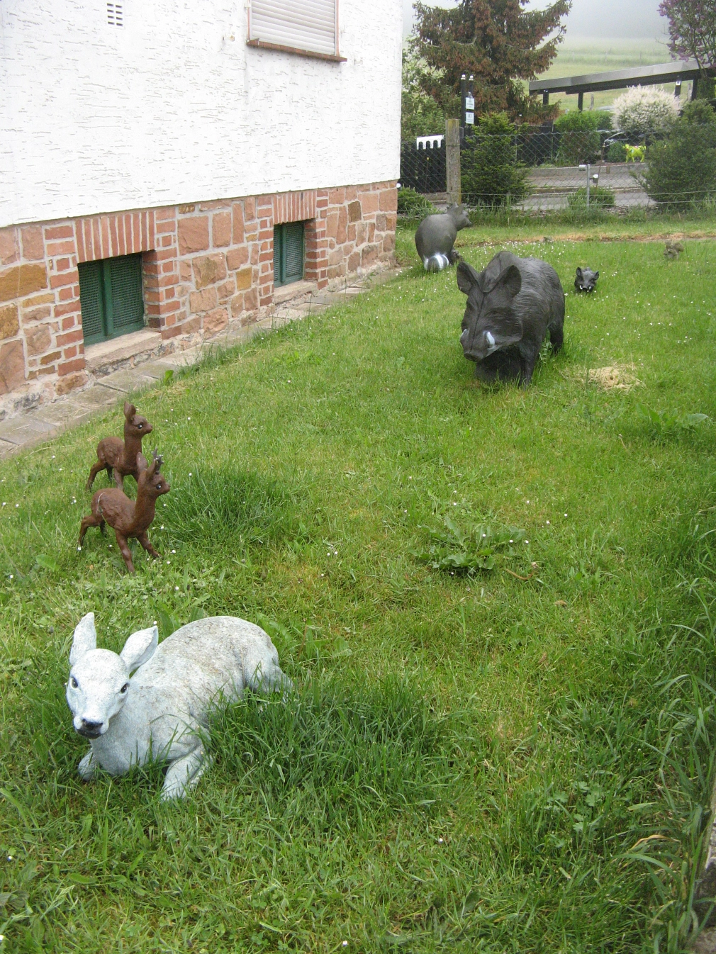 Wildtiere im Vorgarten