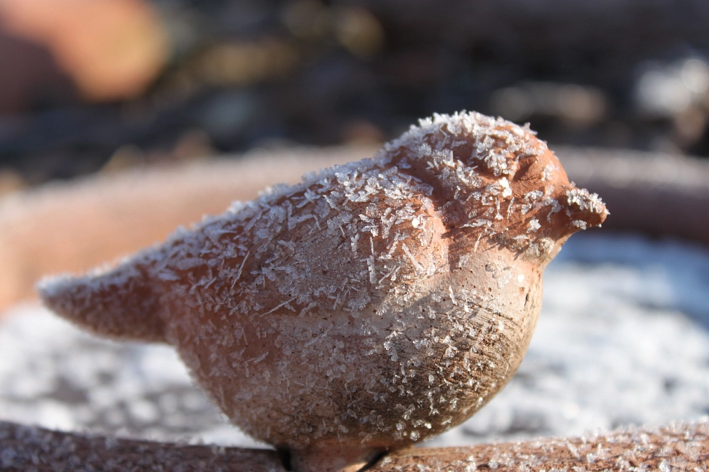 Winterimpressionen
